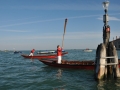 DSC_1652t.jpg