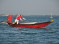 DSC_1657t.jpg