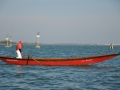 DSC_1662t.jpg