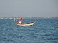DSC_1664t.jpg