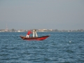 DSC_1687t.jpg