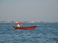 DSC_1688t.jpg