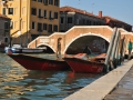 DSC_1732t.jpg