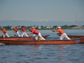 DSC_2520t.jpg