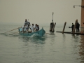 DSC_6687t.jpg