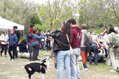 Il popolo dell'Isola di Poveglia, con cane